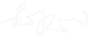 light logo